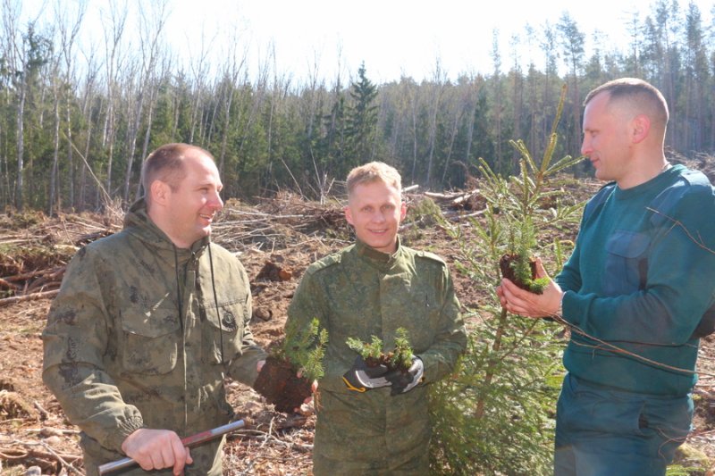 Работники МЧС присоединились к республиканской акции Лес Дабро Парадак